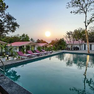Double Room Pool View
